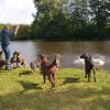 hundetreffen 03.09.2016 564